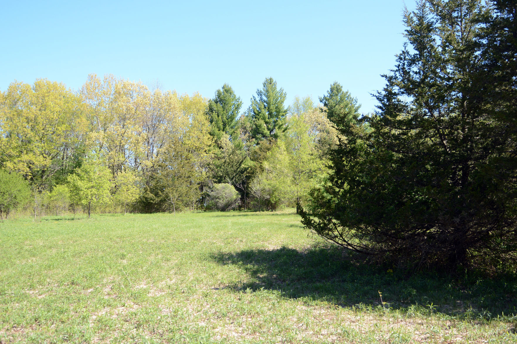 West Baraboo Village Forest